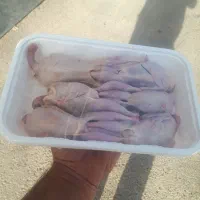 گوشت بوقلمون وبلدرچین|خوردنی و آشامیدنی|شاهرود, |دیوار