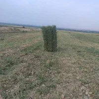 پرس یونجه