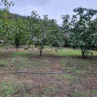 زمین با کاربری مسکونی ۴۰۳متر در نصرت آباد|فروش زمین و ملک کلنگی|حویق, |دیوار