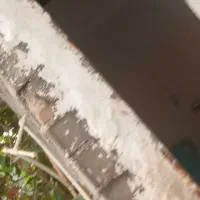 جویای کار هستم