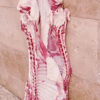 ذبح گاو گوسفند بصورت شرعی و بهداشت