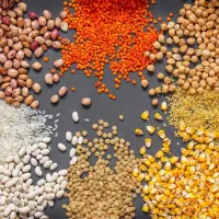 خدمات بازرگانی صفر تا صد واردات|خدمات مالی، حسابداری، بیمه|تهران, سهروردی|دیوار