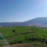 فروش-زمین-پیربلوط