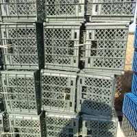 سبد پرتقال ونارنگی|حراج|ساری, |دیوار