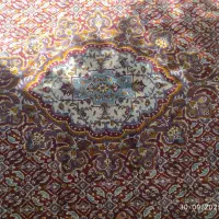 فرش 12 متری|فرش|شیراز, اصلاح‌نژاد|دیوار