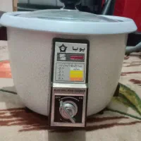 پلوپز برقی