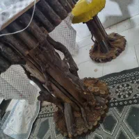 میز گرد و صندلی چوب جنگلی