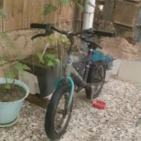 دوچرخه 12|دوچرخه، اسکیت، اسکوتر|اندیمشک, |دیوار