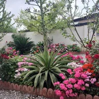 اجاره روزانه/هفتگی/ماهانه ویلا ۵۰ متری|اجارهٔ کوتاه‌مدت ویلا و باغ|بابلسر, |دیوار