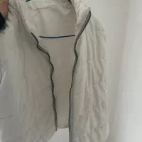 بارونی|لباس|شیراز, اصلاحنژاد|دیوار