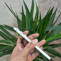 سامسونگS24 FE رم ۸ حافظه ۲۵۶ مشابه آکبند|موبایل|مشهد, بهشت|دیوار