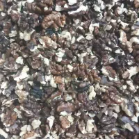 گردو فسنجونی