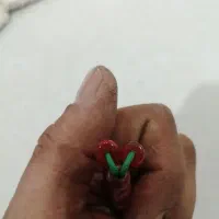 کلکسیونی تسبیح سندلوس کهنه|کلکسیون اشیاء عتیقه|نهاوند, |دیوار