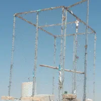 توربرای کفتر