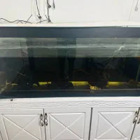 اکواریوم ۱متر ۶۰سانت