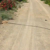 مزرعه بادام کشاورزی پرورش ماهی|فروش دفتر صنعتی، کشاورزی، تجاری|خوانسار, |دیوار