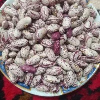 لوبیا چیتی