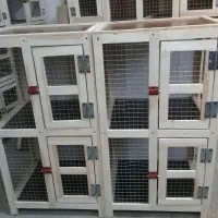 قفسهای چوبی پرندگان|لوازم جانبی حیوانات|مراغه, |دیوار