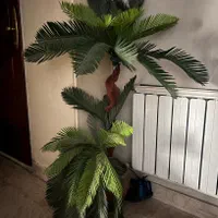 ۲ عدد گل زیبا|گل مصنوعی|تهران, پونک|دیوار