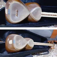 تار کاووسی فروش استثنایی