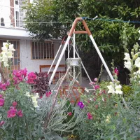 سوییت مبله نزدیک به دریا