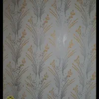 نقاش ساختمان رنگ آمیزی خانه طرح کاغذ دیواری|خدمات پیشه و مهارت|اردبیل, |دیوار
