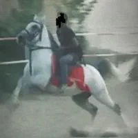 نریون آث و درحد سیلمی
