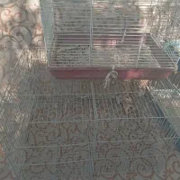 قفس خرگوش و پرنده|لوازم جانبی حیوانات|باغستان, |دیوار