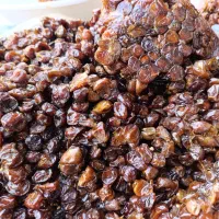 حراج واقعی خرما از کیلو ۱۰۵هزارتومان|خوردنی و آشامیدنی|قم, جهان بینی|دیوار