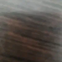 راهنمایی آزمایشگاه خوراک