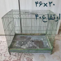 قفس|لوازم جانبی حیوانات|تهران, شادمان|دیوار