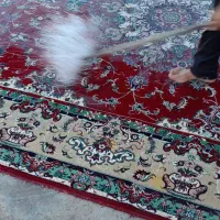 کارگر قالیشویی جوان و متعهد