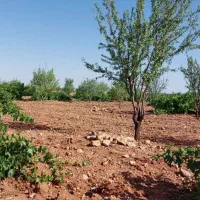 فروش باغ قره چمن قطعه هزار متری|فروش زمین و ملک کلنگی|شیراز, حومه شیراز|دیوار