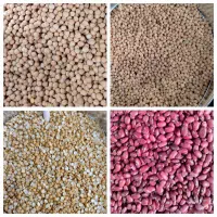 حبوبات اعلا تناژ بالا قیمت مناسب