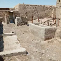 با عرض سلا یک گاوداری به اجاره داده