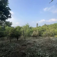 فروش-زمین-750-متری-در-بابلکنار