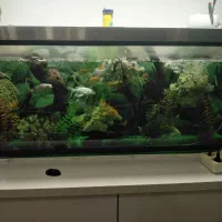 فروش آکواریوم