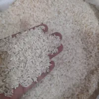 مینباری فجر امساله تمیز تمیز