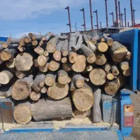 چوب درخت تیر خشک باغ وبیشه