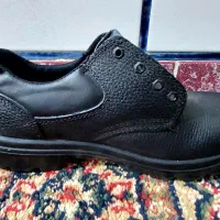 کفش ایمنی|کیف، کفش، کمربند|دهدشت, |دیوار