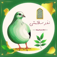 تولیدکننده بوقلمون کشتار روز قیمت منصفانه