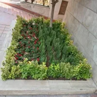 خدمات باغبانی گل کاری هرس کاری تعویض خاک گلدان|خدمات باغبانی و درختکاری|تهران, گیشا|دیوار