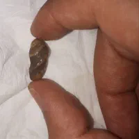 عرج سویحلی ملکوت سلطان