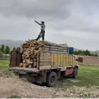 خریدار انواع چوب|خدمات باغبانی و درختکاری|کامیاران, |دیوار