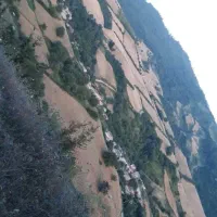 ملک
