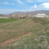 زمین-تک-برگ-سند