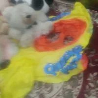 عروسکهای فوق االعاده ارزون وزیباباجنس خوب|اسباببازی بچه|ارومیه, |دیوار