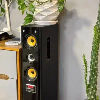 یک جفت اسپیکر برند Rexen اصلی با پرتاب صدای بالا