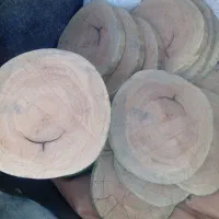 برش کالباسی چوب برای رزین وکارهای هنری