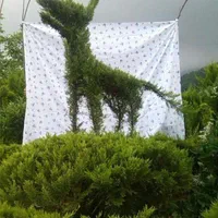 هرس و فرمدهی کاج یاس هلندی شمشاد تضمینی